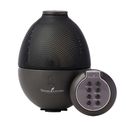 Rainstone Diffuser from Living Well Oils
